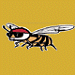 Newport Wasps